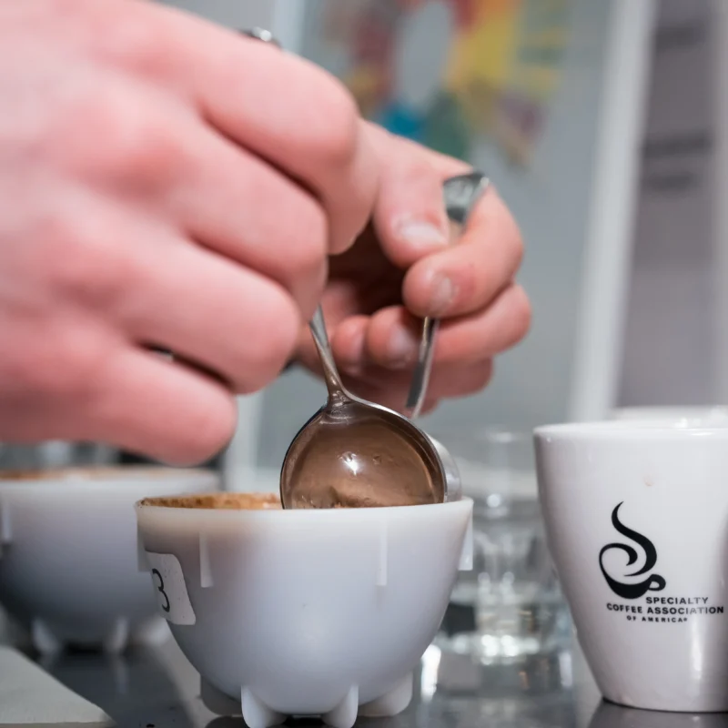 cata de cafe protocolo